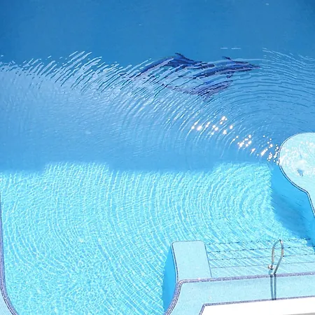 Bora Bora Ibiza Malta - Music - Adults Only 18 خليج سانت بول